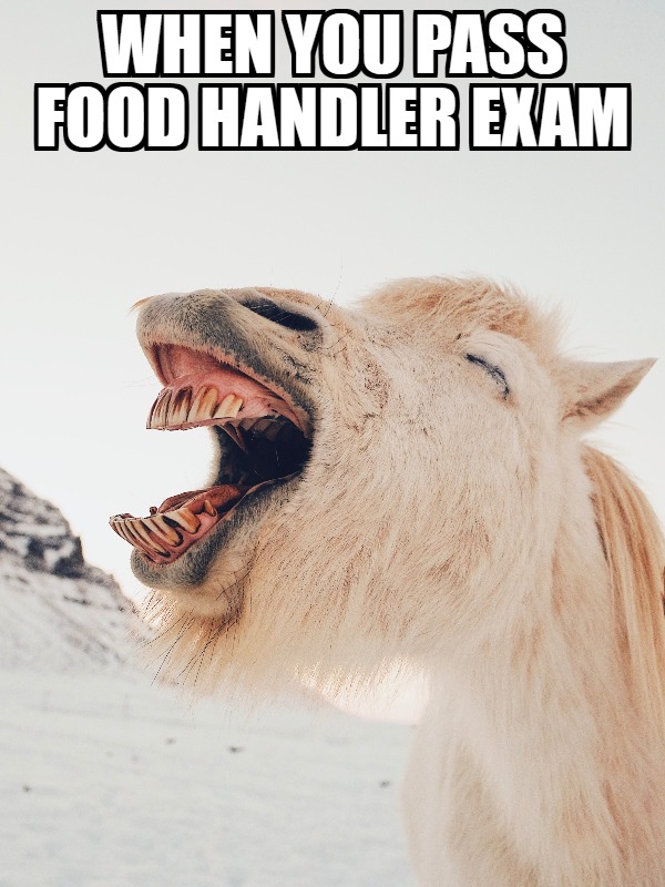 Meme Monday - Laughing Horse